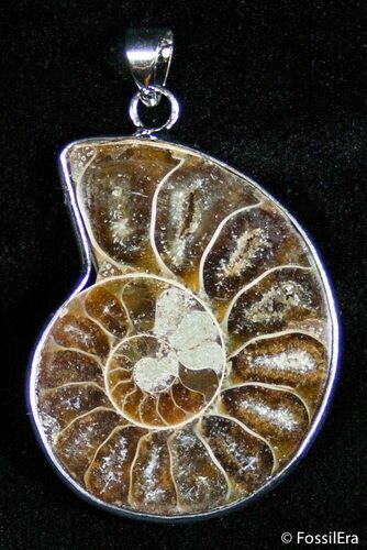 Ammonite Pendant #2598